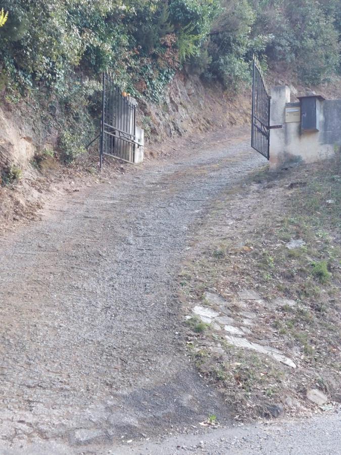 Ribellu Villa Bastia  Ngoại thất bức ảnh