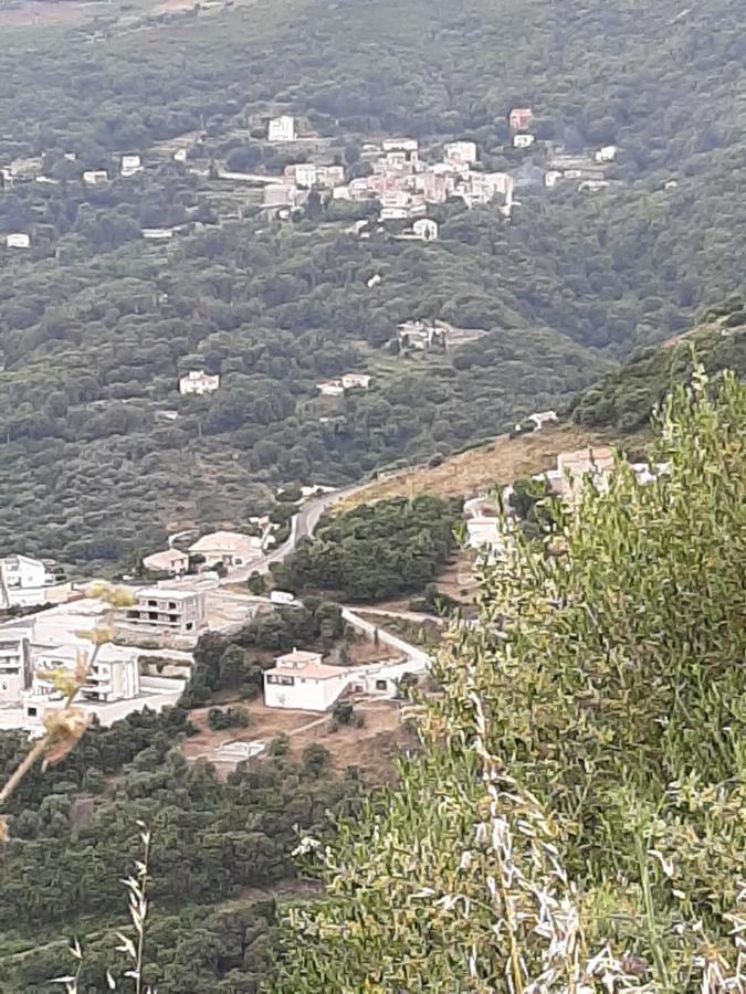 Ribellu Villa Bastia  Ngoại thất bức ảnh